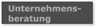 Unternehmens- beratung