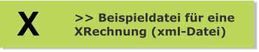 >> Beispieldatei für eine  XRechnung (xml-Datei) X